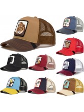 Dress, hat and shoes DHS22046